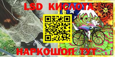 круглые Бийск
