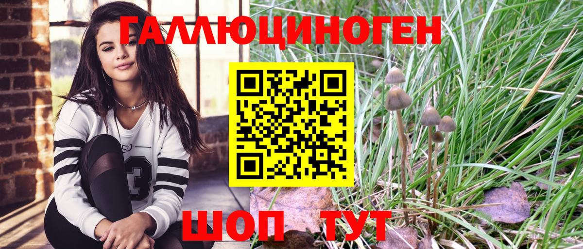 Гудермес  Галлюциногенные грибы ЛСД  Вход с VPN  Псилоцибиновые грибы мицелий 