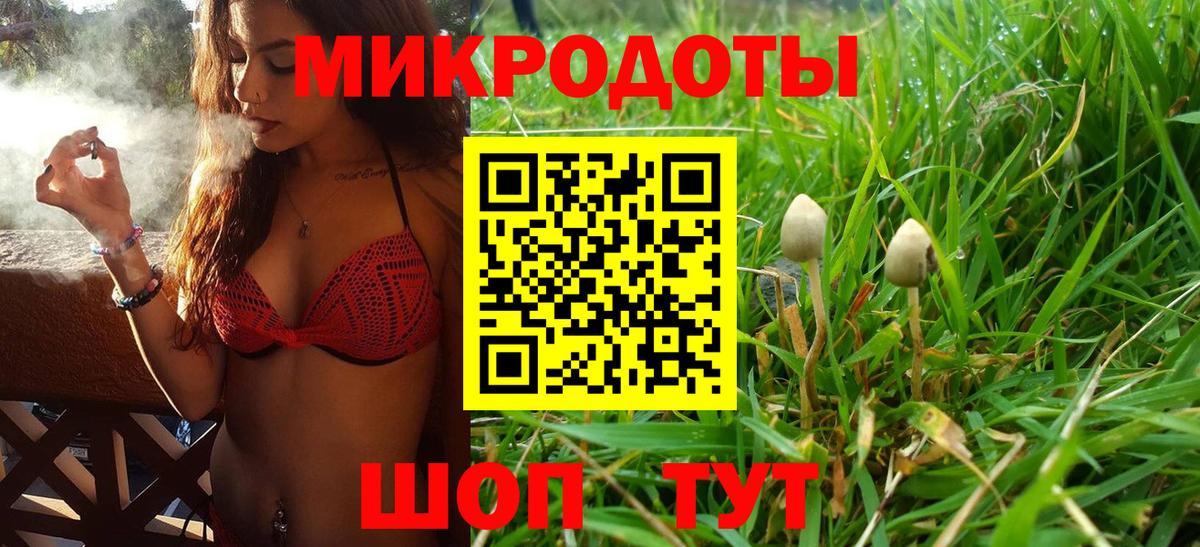 Псилоцибиновые грибы мицелий Гудермес