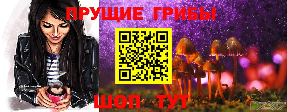 A-PVP Гудермес
