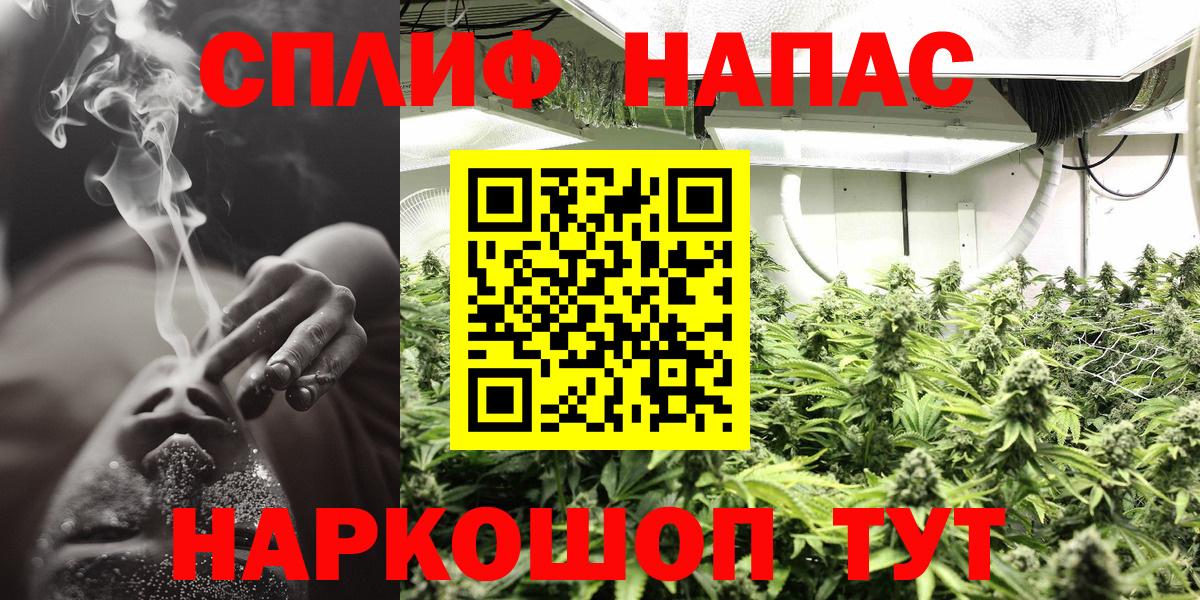 Бошки марихуана семена Гудермес